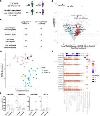 Cognition-associated long noncoding RNAs are dysregulated upon severe COVID-19